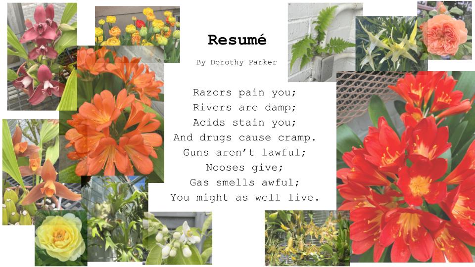 This image is a vibrant, multi-layered collage featuring a poem by Dorothy Parker titled "Resumé" set against a backdrop of various floral photographs. The overall impression is one of contrasting beauty